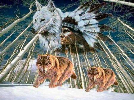 la neige est les loup
